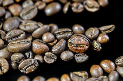 Dark Coffee Beans · Free Stock Photo