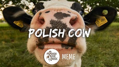 Polish Cow - Meme Cypis - Gdzie jest biały węgorz? Chords - Chordify