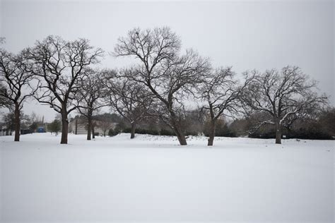 Dallas Winter Storm Photos 2021, A City Covered With Snow