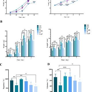 Effects of different groups on the growth and development of housefly... | Download Scientific ...