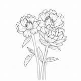 1233000  Flower line drawings Free Stock Photos StockFreeImages sketch template