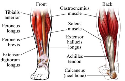 Move to Improve: Athletes and Pathokinematics - Part III - Knee Injuries