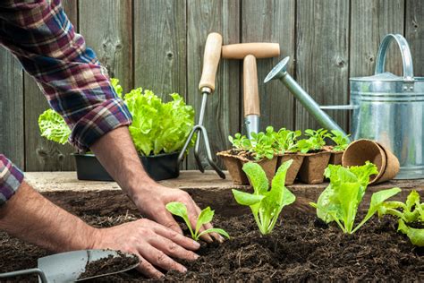 7 Alternative Farming Methods to Try - Beyond The Net