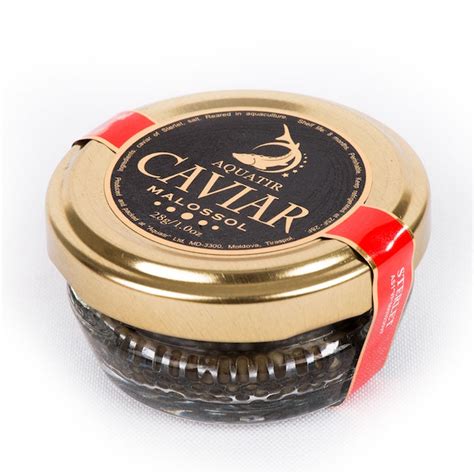 STERLET CAVIAR MALOSSOL(Acipenser ruthenus) | Best Black Caviar