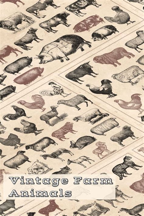 vintage farm animals are featured in this pattern for the wallpapers on ...