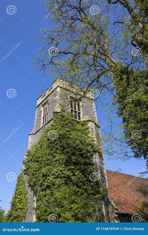 Colchester Natural History Museum Stock Photo - Image of attraction, interest: 116676934