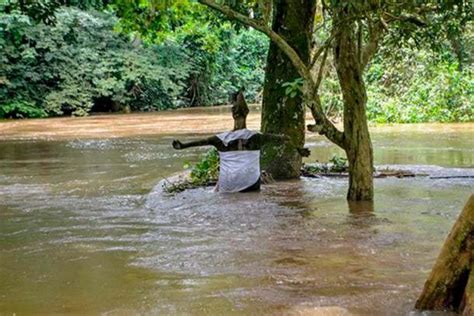 Osun Sacred Grove: Where A West African Spiritual Tradition Flourishes | Ancient Origins