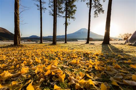 Premium Photo | Mount fuji sunrise