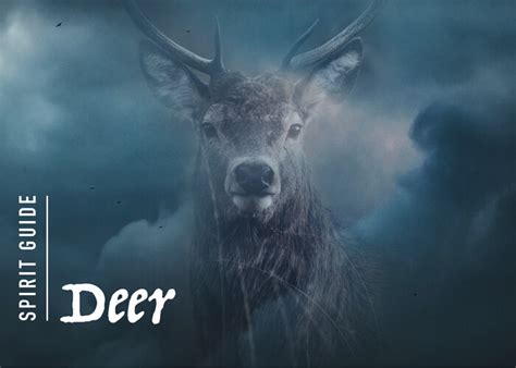 The Deer Spirit Animal - A Complete Guide to Meaning and Symbolism.