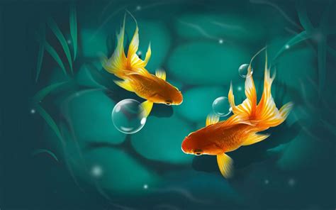 3D Fish Desktop Wallpapers - Top Free 3D Fish Desktop Backgrounds - WallpaperAccess