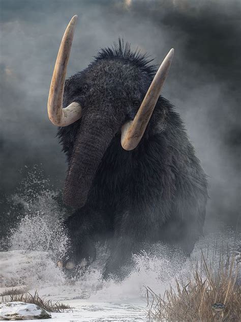 #mammoth #art -- A raging mammoth charges at you. Crashing through the ice age snow, this ...