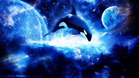 Killer Whale Wallpaper - WallpaperSafari