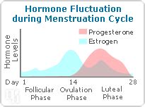 What Is Progesterone and Why Do I Need it? | SheCares