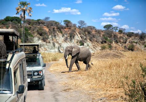 15 Best Game Reserves and Safari Parks in Kenya