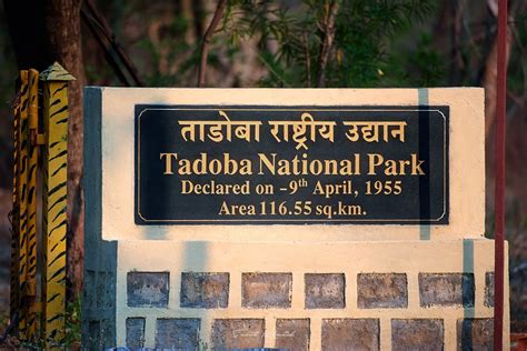 Tadoba National Park - A Complete Travel Guide