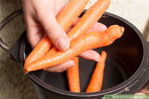 How to Dehydrate Carrots: 13 Steps (with Pictures) - wikiHow