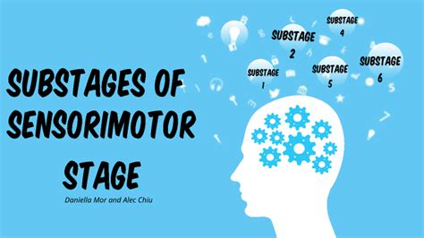 Substages of Sensorimotor Stage by Daniella Mor on Prezi