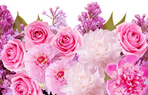 Cute Pink Flower Wallpapers - Top Free Cute Pink Flower Backgrounds ...