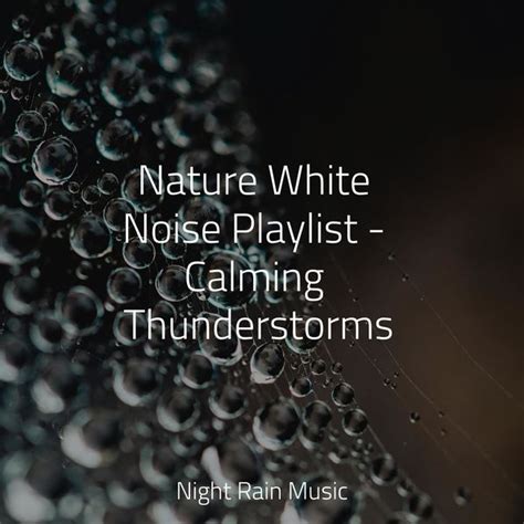 Nature White Noise Playlist - Calming Thunderstorms, Rain Sounds Collection - Qobuz