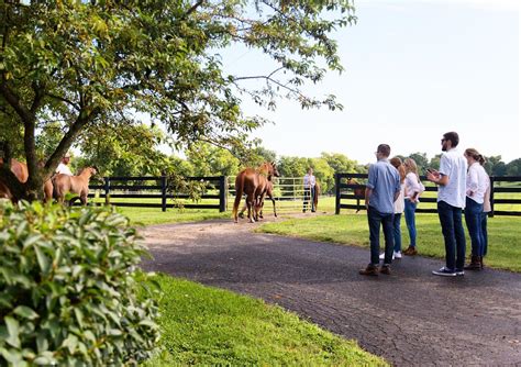 Kentucky Horse Barns