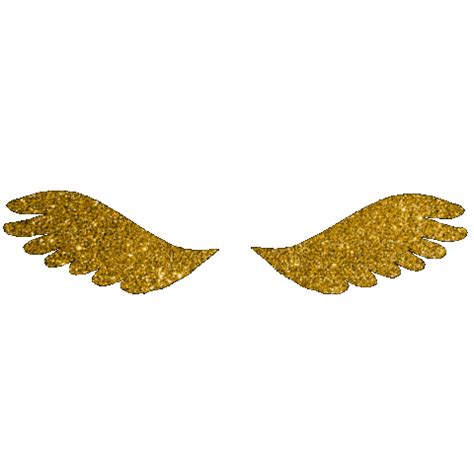 Angel Wings, wings , angel , fantasy , animated , gold , glitter - Free animated GIF - PicMix