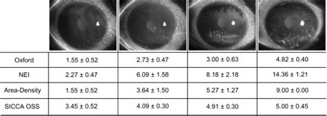 Reliability of 4 Clinical Grading Systems for Corneal Staining | Ento Key