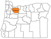 Oregon County Profiles of Behavioral Health Specialist Service Areas – Oregon Older Adult ...