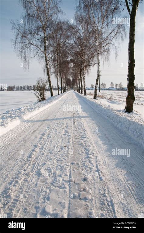 snow in germany Stock Photo - Alamy