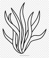 Seaweed Coloring Four Printable Educative Sketch Page sketch template