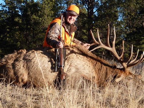 5-Day Fully Outfitted Colorado Archery Bull Elk Hunt for Two (2) Hunters