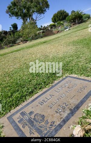 Bela Lugosi grave at Holy Cross Catholic Cemetery, Culver City, Los ...