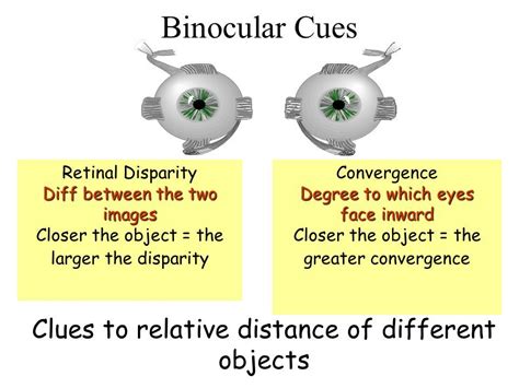 Binocular Cues Psychology