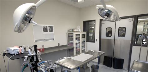 MEDICAL, DENTAL & VETERINARY EQUIPMENT | EUROPAMARK