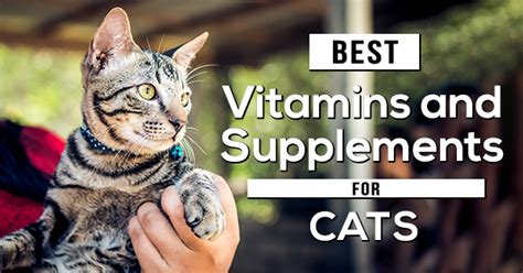 TOP 10 Best Cat Vitamins & Supplements 2020 | Pet Cat Friends