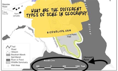 What Are the Different Types of Scale in Geography | GIS for LIfe