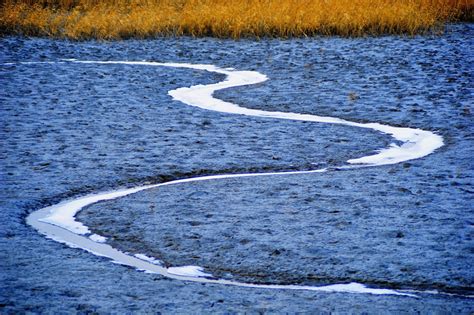 suncheon bay, sign, 4K, communication, day, white color, symbol, sponge ...