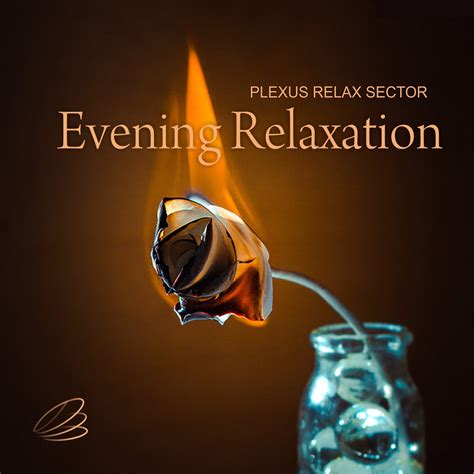 Evening Relaxation | VA | Plexus Music