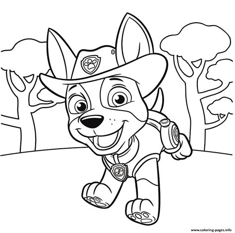 Ryder Paw Patrol, Skye Paw Patrol, Paw Patrol Party, Paw Patrol ...