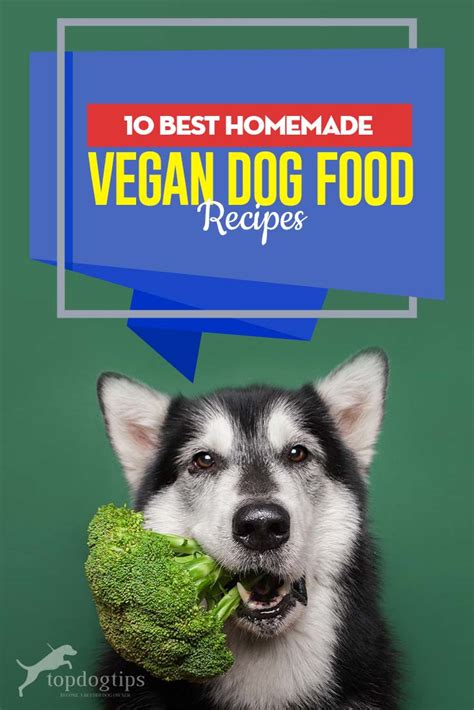 10 Best Homemade Vegan Dog Food Recipes