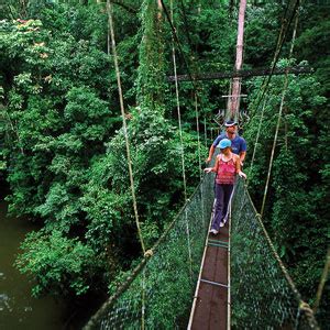 Best time to visit Sarawak