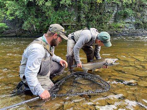 Fly Fishing The Salmon River For King Salmon: Part 1 - When To Go ...