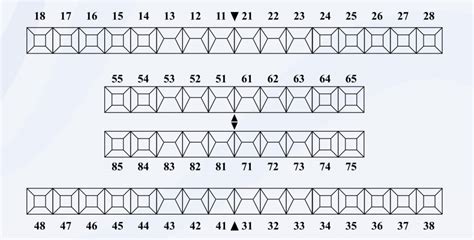 Panduan Lengkap Pengisian Odontogram: Langkah Demi Langkah - Info DRG