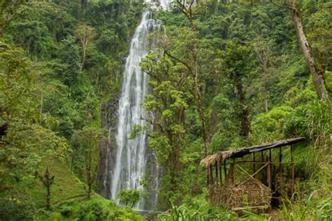 Materuni Water Falls | Famous Tours and Safaris