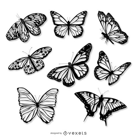 Realistic Butterfly Illustration Set Vector Download