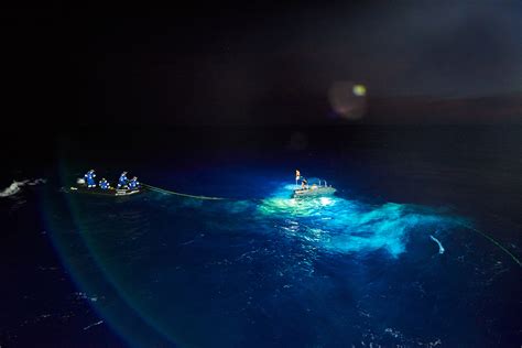 Expedition team makes record-breaking dive to bottom of Mariana Trench ...