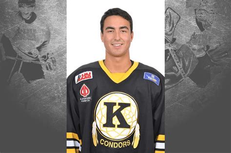 Suspension de 3 matchs pour Andrew Antsanen des Condors de Kahnawake | Ligue de Hockey Junior ...