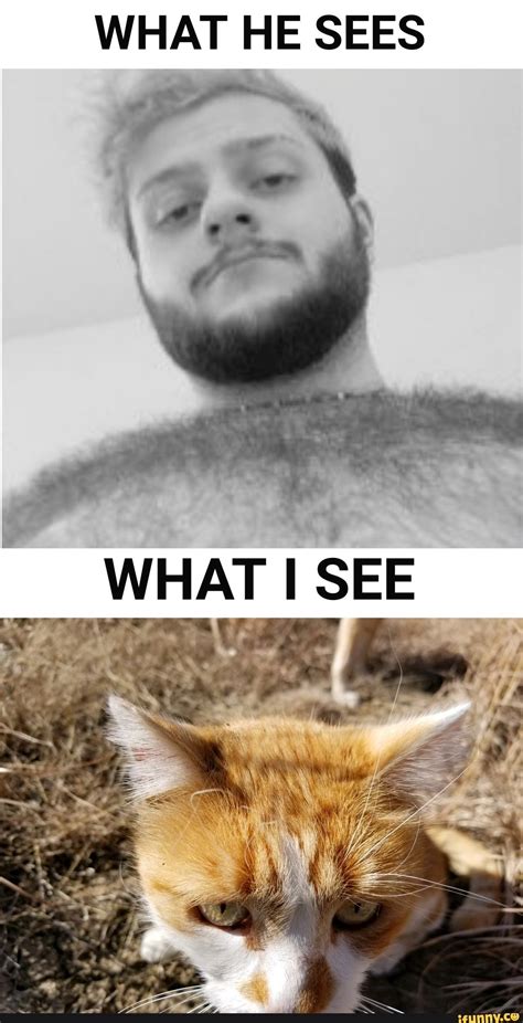 WHAT HE SEES $ WHAT I SEE - ) | Shane dawson memes, Memes, Youtube memes