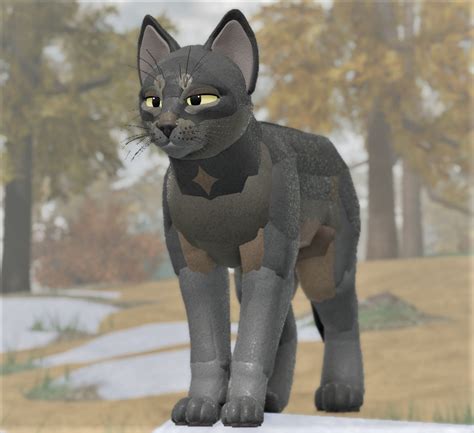 gray and brown wcue morph | Warrior cats art, Warrior cat drawings, Pretty cats