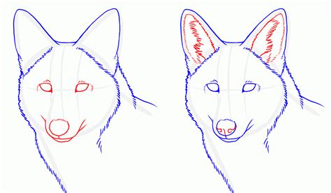 How To Draw Wolf Ears