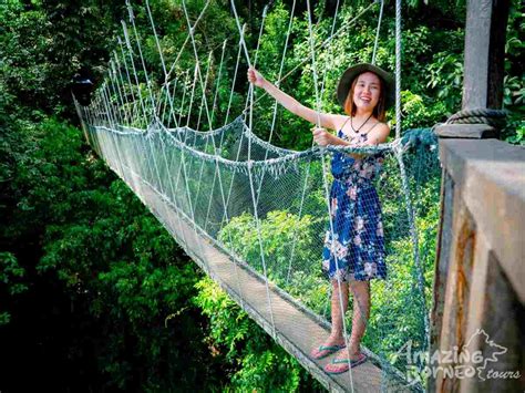 Kinabalu Park & Poring Canopy Walk Tour- Amazing Borneo Tours - Amazing ...